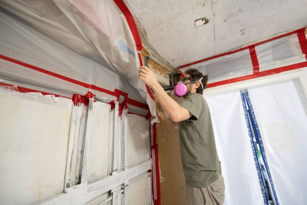 Reliable Graymoor Devondale, KY Mold Removal Solutions
