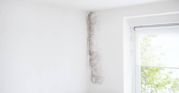 Best Residential Mold Inspection & Testing  in Graymoor Devondale, KY