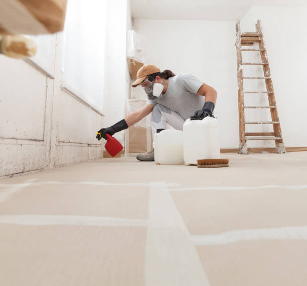 Best Black Mold Removal  in Graymoor Devondale, KY